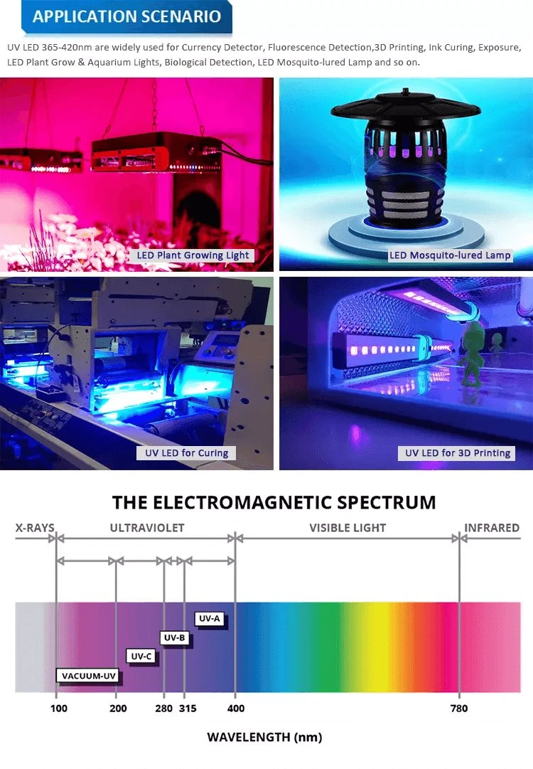 uv application -web