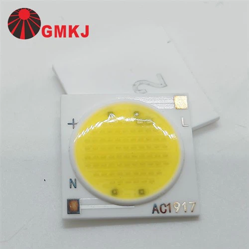12W 220VAC Driver integrat 1917 LED COB